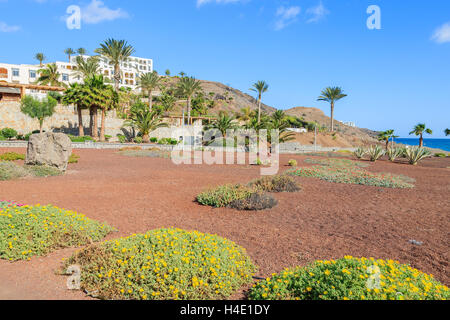 Passeggiata costiera area verde in Las Playitas villaggio e spiaggia pubblica, Fuerteventura, Isole Canarie, Spagna Foto Stock