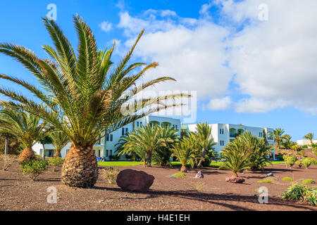 LAS PLAYITAS, Fuerteventura - Feb 4: giardino tropicale in hotel di lusso a Las Playitas village il 4 Feb 2014, Isole Canarie, Spagna. Le isole Canarie sono famose per le vacanze invernali a causa del suo clima. Foto Stock