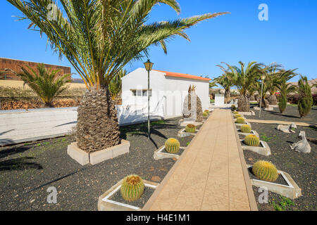Lo stile delle Canarie edifici e piante tropicali in La Oliva villaggio Heritage Art Center, Fuerteventura, Isole Canarie, Spagna Foto Stock