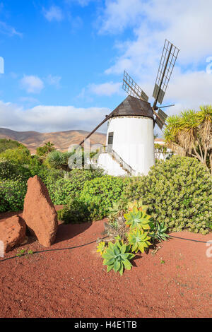 Vecchio mulino in giardini tropicali di Antigua village, Fuerteventura, Isole Canarie, Spagna Foto Stock