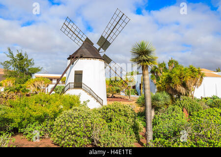 Vecchio mulino in giardini tropicali di Antigua village, Fuerteventura, Isole Canarie, Spagna Foto Stock