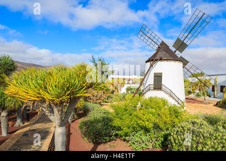 Vecchio mulino in giardini tropicali di Antigua village, Fuerteventura, Isole Canarie, Spagna Foto Stock