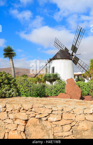 Vecchio mulino in giardini tropicali di Antigua village, Fuerteventura, Isole Canarie, Spagna Foto Stock