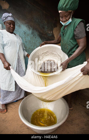 Filtro dipendenti appena elaborati) olio di karité ad un commercio equo impianto di produzione in Réo, Burkina Faso, Africa occidentale. Foto Stock