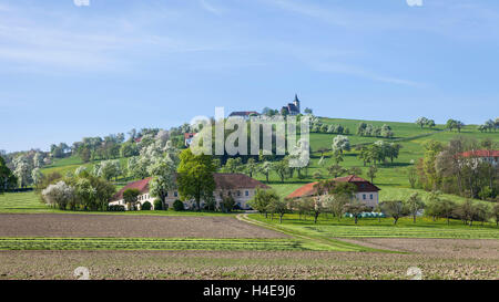 Pezzo Michael in Bruck brook, succo di frutta quarta, Austria Inferiore, Austria, Europa Foto Stock