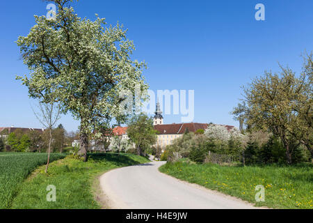 Penna, Seitenstetten Seitenstetten, succo di frutta quarta, Austria Inferiore, Austria, Europa Foto Stock