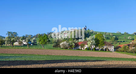 Pezzo Michael in Bruck brook, succo di frutta quarta, Austria Inferiore, Austria, Europa Foto Stock