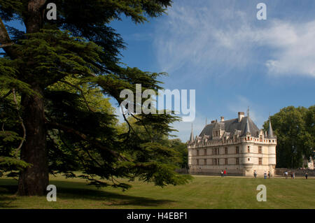 Azay le Rideau Castello, Sito Patrimonio Mondiale dell'UNESCO, Indre et Loire, Touraine, Valle della Loira, in Francia, in Europa Foto Stock