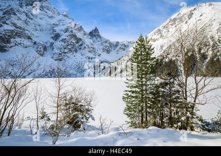 Coperte di neve bella Morskie Oko lago in inverno, Alti Tatra, Polonia Foto Stock