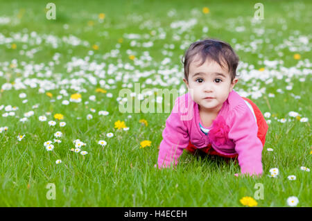 Carino chubby toddler strisciando sull'erba esplorando la natura all'aperto nel parco il contatto visivo Foto Stock