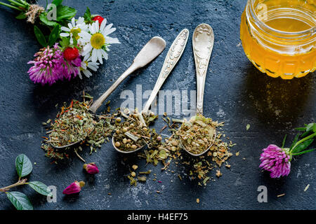 Varietà di tè secco tè alle erbe in cucchiaini da tè e un vasetto di miele Foto Stock