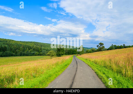 Strada rurale lungo prati verdi per Arlamow villaggio sulla soleggiata giornata estiva, monti Bieszczady, Polonia Foto Stock