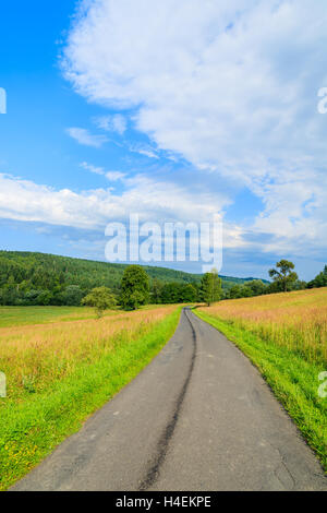 Strada rurale lungo prati verdi per Arlamow villaggio sulla soleggiata giornata estiva, monti Bieszczady, Polonia Foto Stock