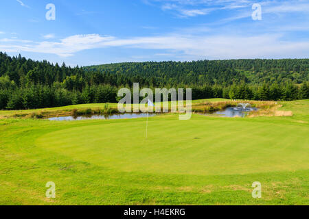 ARLAMOW CAMPO DA GOLF, Polonia - Agosto 3, 2014: bellissimo campo da golf area di gioco su soleggiate giornate estive di Arlamow Hotel. Questo lussuoso hotel è stato di proprietà di Polonia il governo e si trova nei monti Bieszczady. Foto Stock