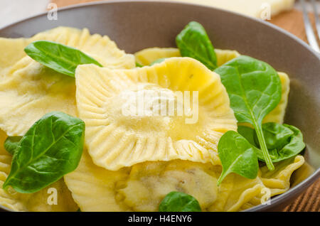 Ravioli fatti in casa ripieni di spinaci e ricotta, tutti a casa preparato Foto Stock