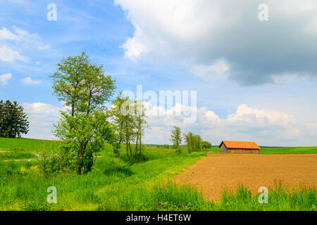 Paesaggio rurale con agriturismo in background, Burgenland, Austria meridionale Foto Stock