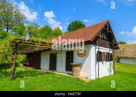 Cottage di tradizionali case in vinificazione regione di Burgenland, Austria meridionale Foto Stock