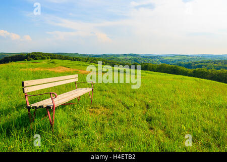 Panca su prato in paesaggio di campagna, Burgenland, Austria meridionale Foto Stock