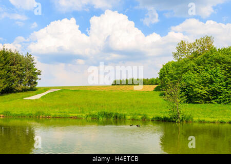 Lago nel paesaggio di campagna in primavera, Burgenland, Austria meridionale Foto Stock