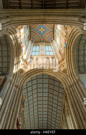 Soffitto in St Edmundsbury Cathedral, Bury St Edmunds, Suffolk, Inghilterra Foto Stock