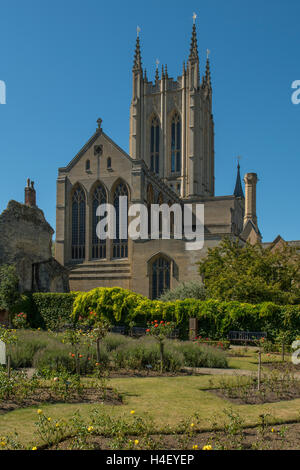 St Edmundsbury Cathedral, Bury St Edmunds, Suffolk, Inghilterra Foto Stock