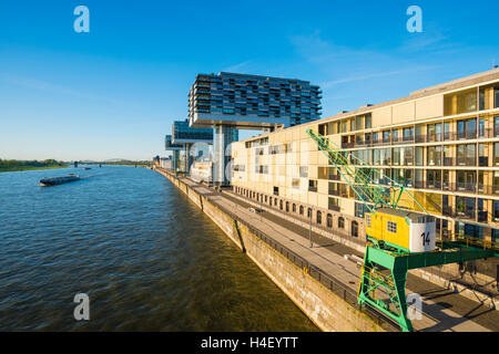 Costruzione di gru, Rheinauhafen, Colonia, nella Renania settentrionale-Vestfalia, Germania Foto Stock