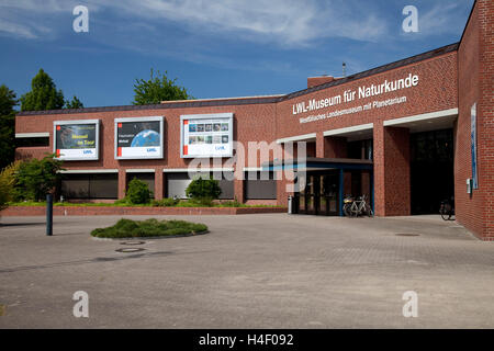 Museo di Storia Naturale e planetario, città di Muenster, Muensterland, Renania settentrionale-Vestfalia Foto Stock