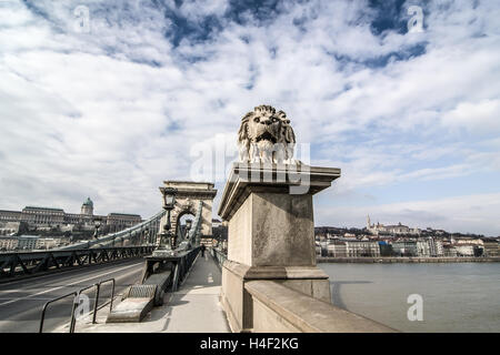 Uno dei leoni di custode sul Ponte delle catene di Szechenyi. Budapest, Ungheria. Foto Stock