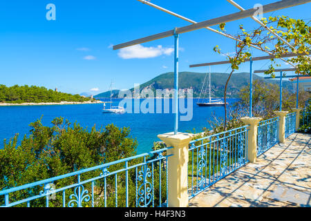 Vitigno crescente sulla costa dell'isola di Kefalonia vicino Fiskardo village, Grecia Foto Stock