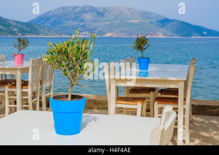 Fiore blu vaso con pianta verde sul tavolo bianco nel ristorante greco sulla costa dell'isola di Kefalonia, Grecia Foto Stock