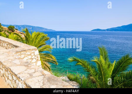 Palme sulla passeggiata lungo mare bellissimo sulla costa dell'isola di Cefalonia in Agia Efimia, Grecia Foto Stock