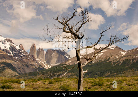 Parque nacional Torres del Paine, Magallanes, Cile. Parco Nazionale di Torres del Paine Foto Stock