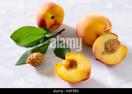 Harvest fresche e mature le pesche in un cesto di vimini su una pietra grigia sullo sfondo. Foto Stock