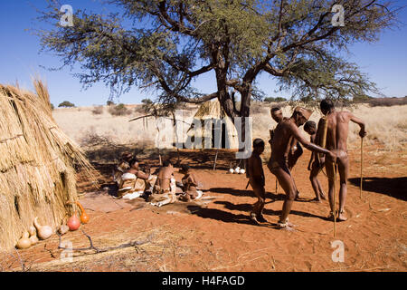 I boscimani san dancind nel loro accampamento nella Central Kalahari in Namibia Foto Stock