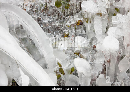 Il ghiaccio naturale scultura astratta delle forme vegetali congelati in ghiaccio Foto Stock