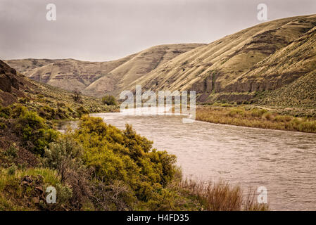 Wild e Scenic John giorno River a pioppi neri americani Canyon State Park, North Central Oregon. Foto Stock