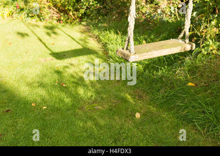 Svuotare albero giardino swing in estate con lo swing ombra sul prato e spazio di copia Foto Stock
