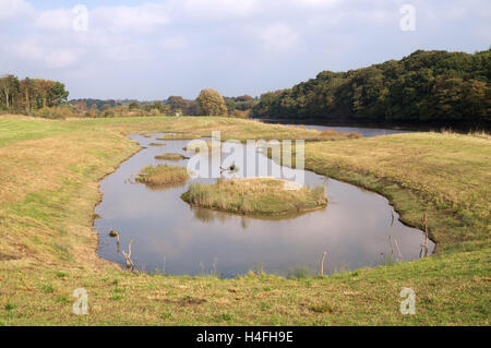 Laguna di soluzione salina adiacente al fiume usura Washington Wetland Centre, Tyne and Wear, England, Regno Unito Foto Stock