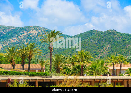 Le palme e i tetti delle case per le vacanze in montagna dell'isola Sardegna vicino a Chia, Italia Foto Stock