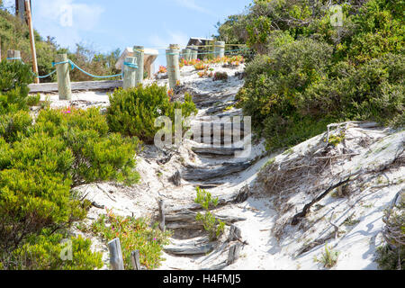 Fasi di legname e la passerella a Hanson Bay sulla costa meridionale di Kangaroo Island,Sud Australia Foto Stock