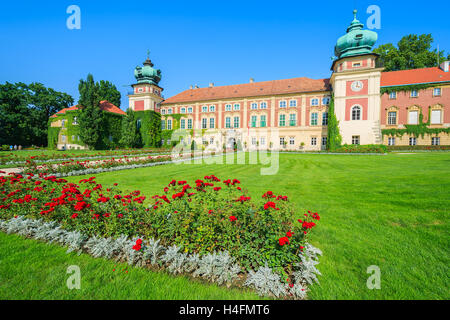 Rose rosse nei giardini del bellissimo Castello Lancut su soleggiate giornate estive, Polonia Foto Stock