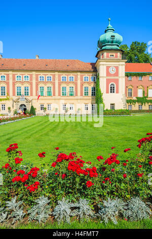 Rose rosse nei giardini del bellissimo Castello Lancut su soleggiate giornate estive, Polonia Foto Stock