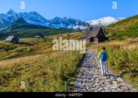 Giovane donna backpacker camminando sul sentiero di montagna nella valle Gasienicowa nella stagione autunnale, Alti Tatra, Polonia Foto Stock