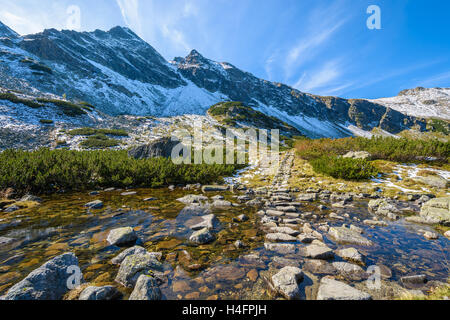 Flusso di acqua sul sentiero escursionistico nella valle Gasienicowa nella stagione autunnale, Alti Tatra, Polonia Foto Stock