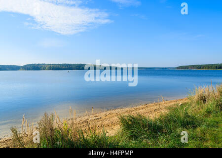 Erba verde sulla riva del lago Chancza, Polonia Foto Stock