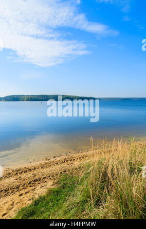 Erba verde sulla riva del lago Chancza, Polonia Foto Stock