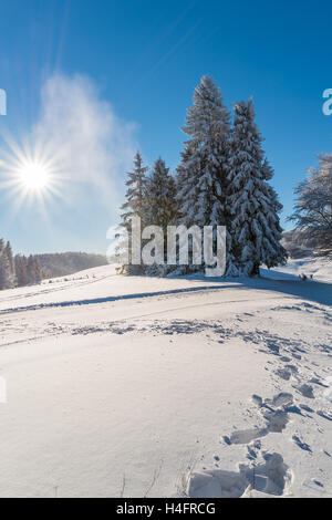 Inverno in Beskid Sadecki montagne sulla giornata di sole, Polonia Foto Stock