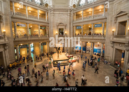 Central rotunda lobby del Smithsonian Museo Nazionale di Storia Naturale di Washington, DC Foto Stock