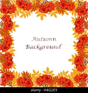 Telaio con foglie di autunno e bacche. Illustrazione Vettoriale