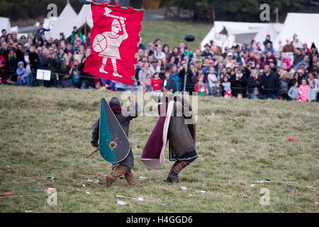 Battle, Regno Unito. Xvi oct, 2016. Il giorno finale della 950th anniversario rievocazione all Abbazia di Battle, East Sussex, ampiamente accettato come il sito di uno degli eventi più famosi nella storia britannica, è la messa a fuoco per un fine settimana di eventi. La battaglia tra Guglielmo di Normandia e anglosassone di Re Harold II, si è conclusa con la morte di quest'ultimo. Credito: Jason Richardson / Alamy Live News Foto Stock